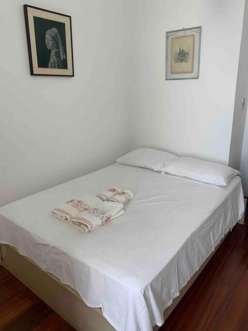 Apartamento Aconchegante Ape Em Ipanema